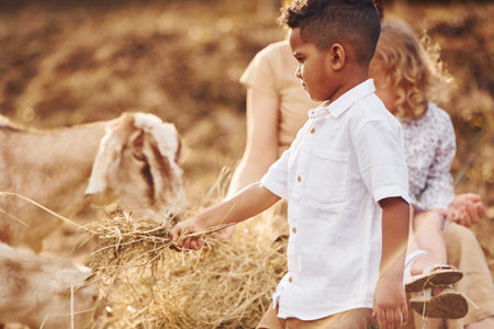 Young mother with her daughter is on the farm at summertime with goatsの写真素材