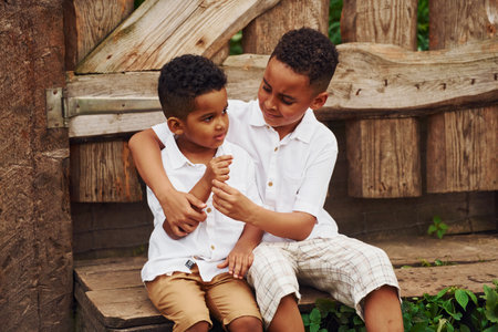 Two little african american brothers sitting together on the farmの写真素材