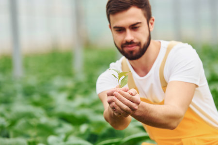 Young greenhouse worker in yellow uniform have job inside of hothouseの写真素材