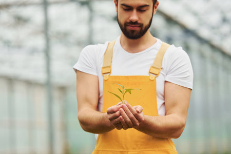 Holding plant in hands. Young greenhouse worker in yellow uniform have job inside of hothouseの写真素材