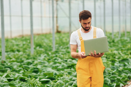 Young greenhouse worker in yellow uniform with laptop in hands have job inside of hothouseの写真素材