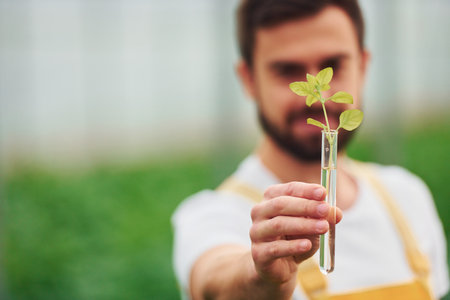Plant inside of test tube with water. Young greenhouse worker in yellow uniform have job inside of hothouseの写真素材