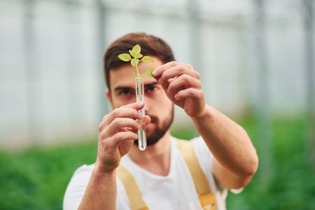 Plant inside of test tube with water. Young greenhouse worker in yellow uniform have job inside of hothouseの写真素材