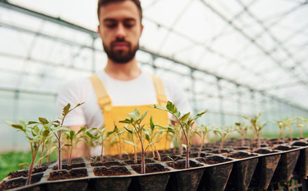 With black stand for plants in hands. Young greenhouse worker in yellow uniform have job inside of hothouseの写真素材
