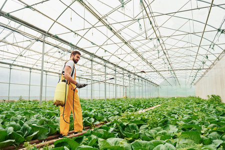 Young greenhouse worker in yellow uniform watering plants by using special equipment inside of hothouseの写真素材