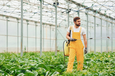 Young greenhouse worker in yellow uniform watering plants by using special equipment inside of hothouseの写真素材