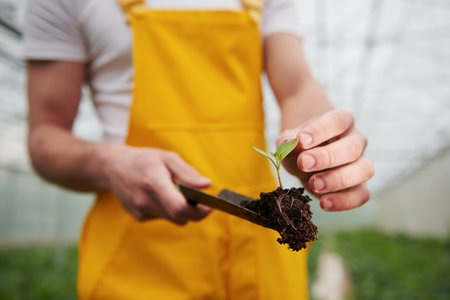 Holds plant on little showel. Young greenhouse worker in yellow uniform have job inside of hothouseの写真素材