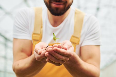 Holding plant in hands. Young greenhouse worker in yellow uniform have job inside of hothouseの写真素材