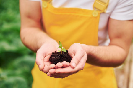 Holding plant in hands. Young greenhouse worker in yellow uniform have job inside of hothouseの写真素材