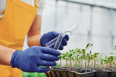 Using test tube and watering plants. Young greenhouse worker in yellow uniform have job inside of hothouseの写真素材