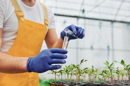 Holds test tube with water. Young greenhouse worker in yellow uniform have job inside of hothouseの写真素材