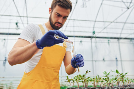 Holds test tube with water. Young greenhouse worker in yellow uniform have job inside of hothouseの写真素材
