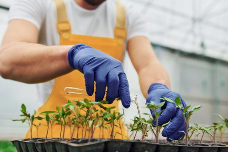 Holds test tube with water. Taking care of plants in the black stand. Young greenhouse worker in yellow uniform have job inside of hothouseの写真素材