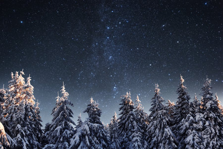 Starry sky in winter snowy night. Majestic landscape.の写真素材