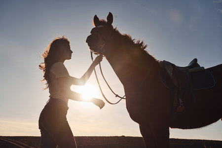 Beautiful sunshine. Young woman standing with her horse in agriculture field at daytimeの写真素材