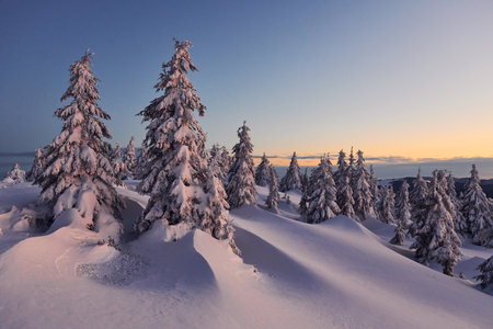 Snow covers lot of ground and trees. Magical winter landscapeの写真素材