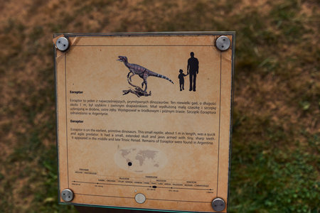 Table with information about dinosaurs outdoors in museum parkの写真素材