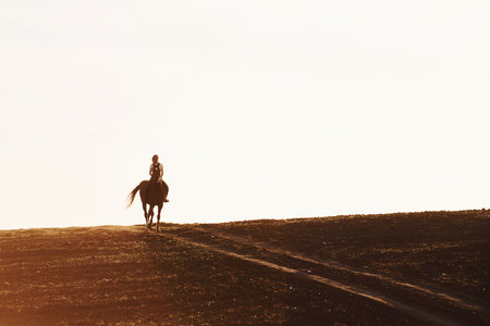Young woman in protective hat riding her horse in agriculture field at sunny daytimeの写真素材