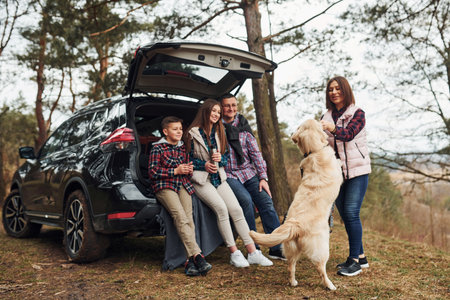 Happy family have fun with their dog near modern car outdoors in forestの写真素材