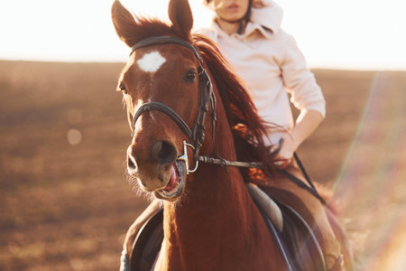 Young woman in protective hat with her horse in agriculture field at sunny daytimeの写真素材