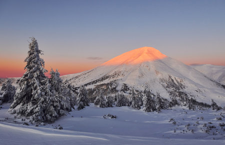 Majestic Petros mountain illuminated by sunlight. Magical winter landscape with snow covered trees at daytimeの写真素材