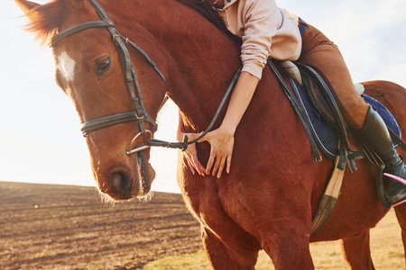 Young woman in protective hat with her horse in agriculture field at sunny daytimeの写真素材