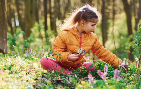 Happy little girl in casual clothes sitting in spring forest at daytimeの写真素材