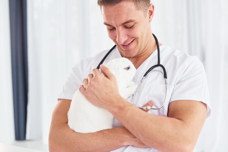 Young veterinatian is indoors with little rabbit. Conception of healthcareの写真素材