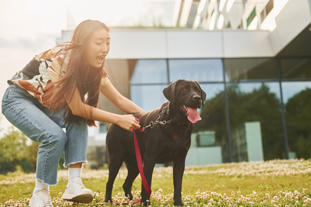 Playing with dog. Young asian woman is outdoors at daytimeの写真素材