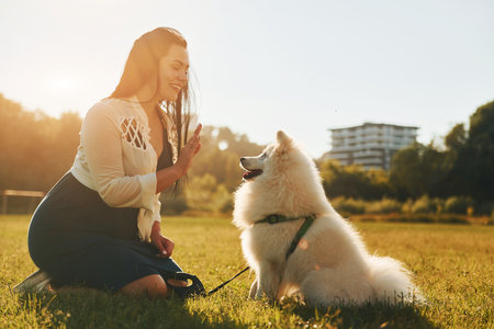 Side view. Woman with her dog is having fun on the field at sunny daytimeの写真素材