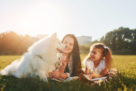 Woman and little girl have a walk with dog on the field at sunny daytimeの写真素材