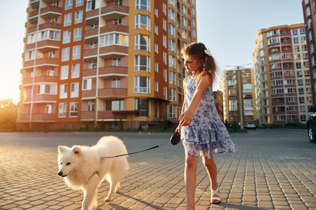 Little girl with her dog is on the walk on the streetの写真素材