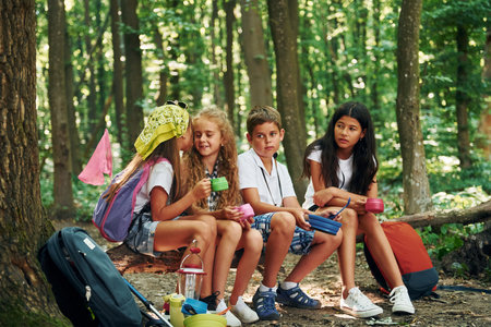 Sitting in the camp. Kids strolling in the forest with travel equipmentの写真素材