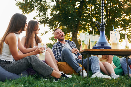 Talking with each other. Group of young people have a party in the park at summer daytimeの写真素材