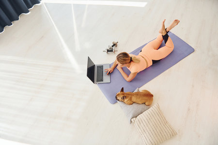 Top view of woman with pug dog and laptop that is at home at daytimeの写真素材