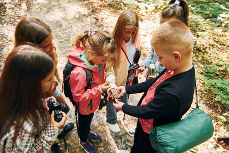 View from above. Kids in green forest at summer daytime togetherの写真素材