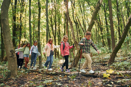 Walking on the log. Kids in green forest at summer daytime togetherの写真素材