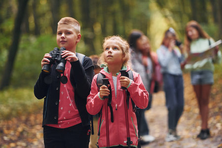 Having a walk. Kids in green forest at summer daytime togetherの写真素材