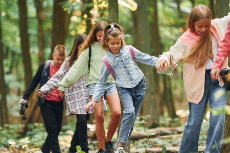 Walking on the new path. Kids in green forest at summer daytime togetherの写真素材