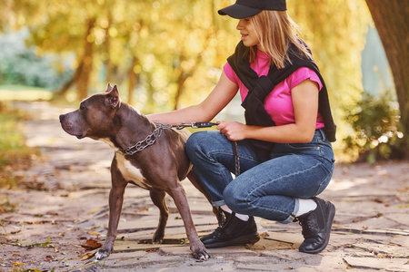 Yellow leaves at background. Woman in casual clothes is with pit bull outdoors.の写真素材
