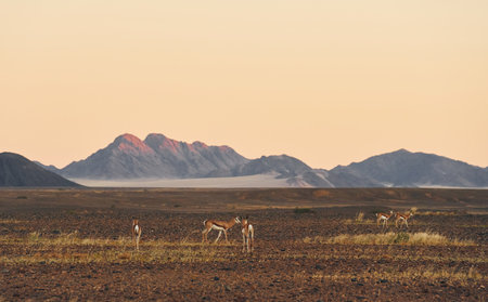 Mountains is far away in distance. Majestic view of amazing landscapes in African desert.の写真素材