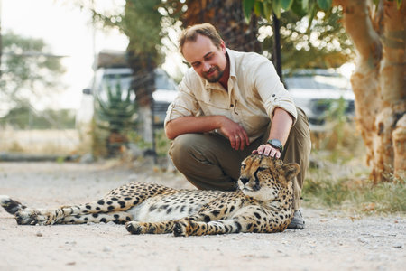 Male tourist in casual clothes sitting and petting a cheetah outdoors.の写真素材
