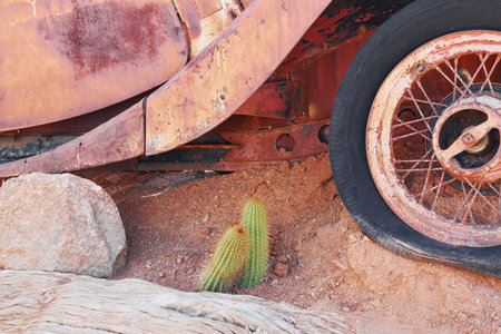 Close up view of old rusty car in the desert.の写真素材