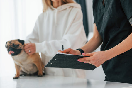 With notepad. Conception of payment. Pug is in the grooming salon with veterinarian that is in black clothes.の写真素材