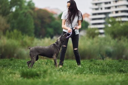 Running and playing. Young brunette is having a walk with her dog outdoors.