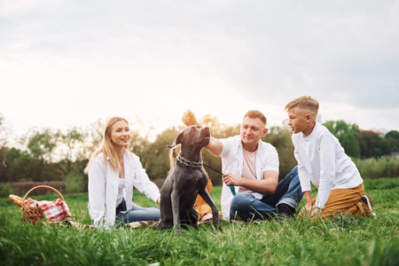 Having fun with dog. Family have weekend outdoors at summertime together.