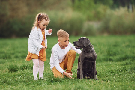 Little brother with his sister having a walk with their dog.