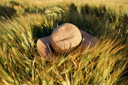 Close up view of the hat that lying down on the field of wheat at sunny day.の写真素材