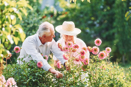 With beautiful flowers. Lovely senior couple is in the garden together.の写真素材