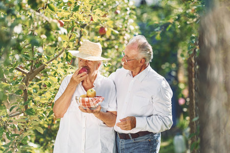 Lovely senior couple is in the garden together.の写真素材